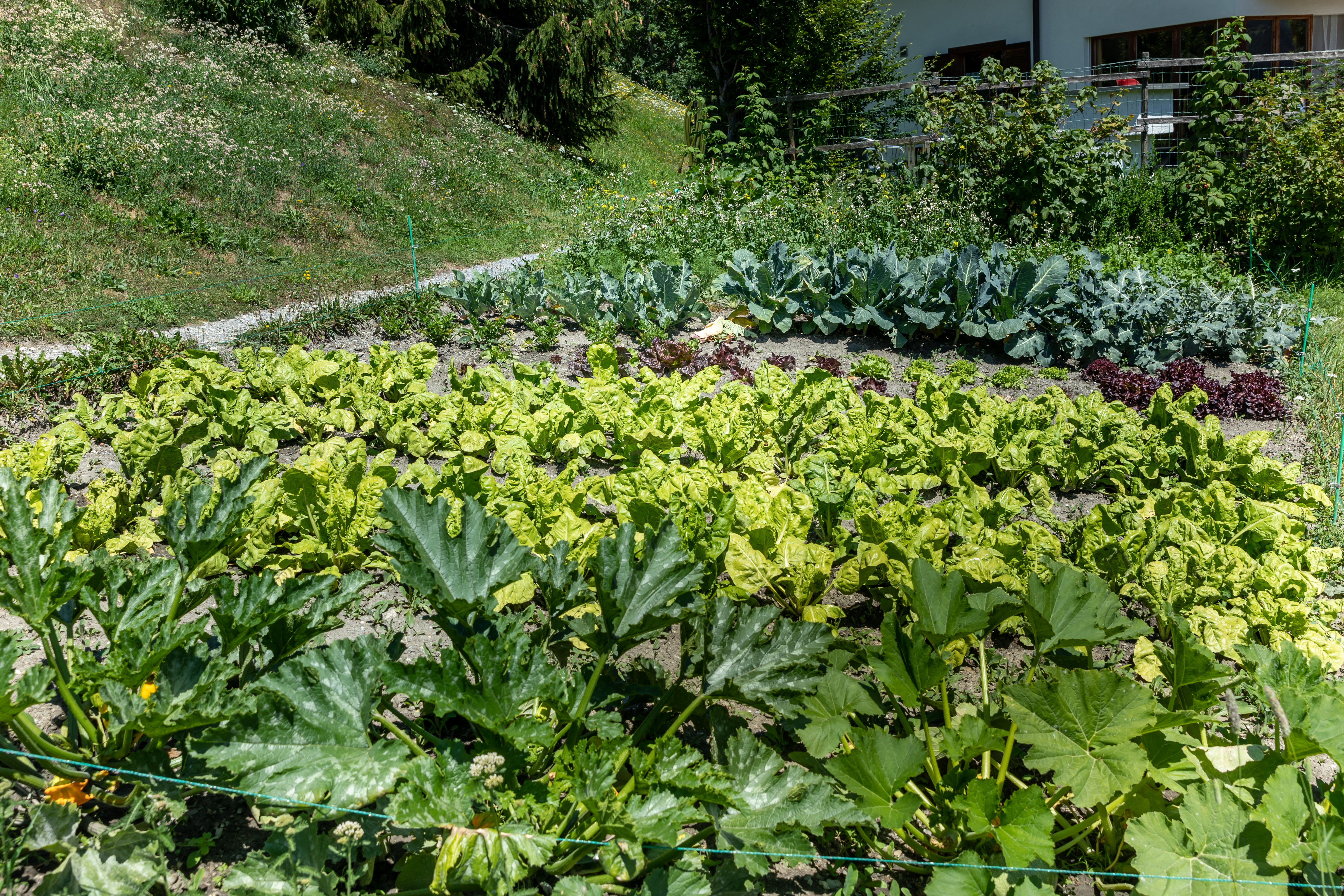 Umgebung rund um unser Hotel