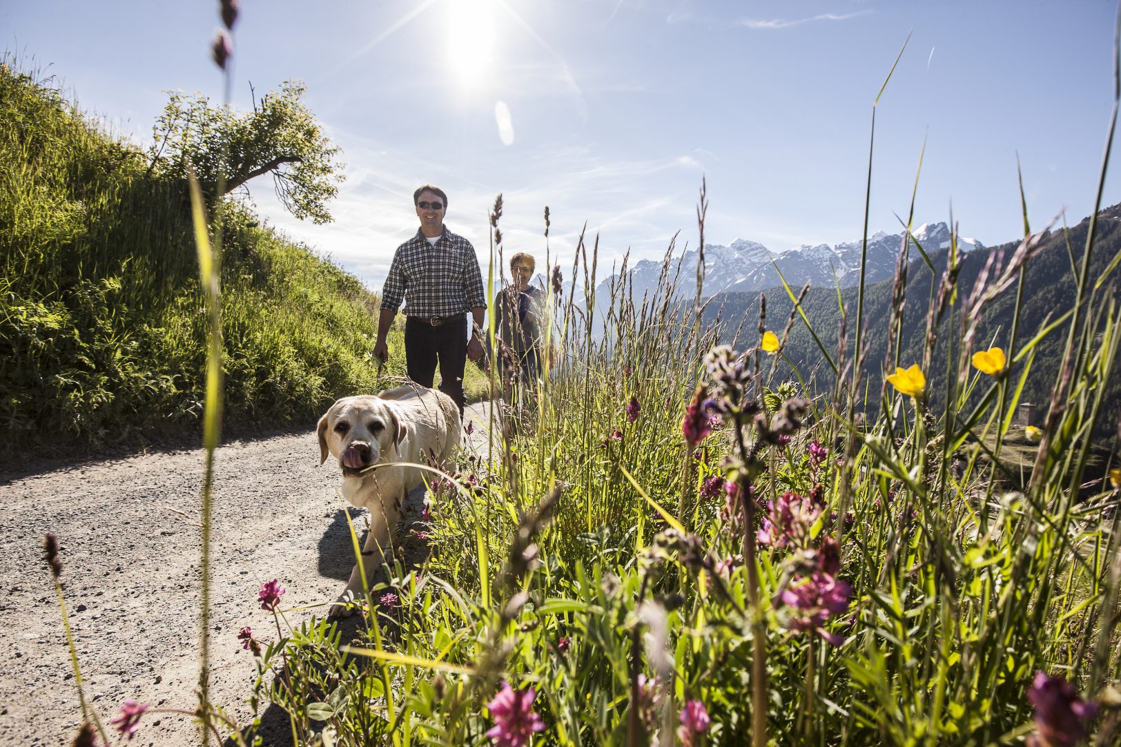 Auf leisen Pfoten durchs Lugnez Wanderungen durch das Tal des Lichtes